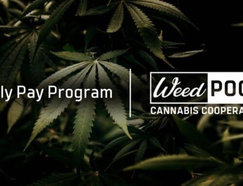 Weed Pool Partners with Quickly to Fuel Growth for Cannabis Producers